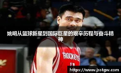 2028体育官网入口